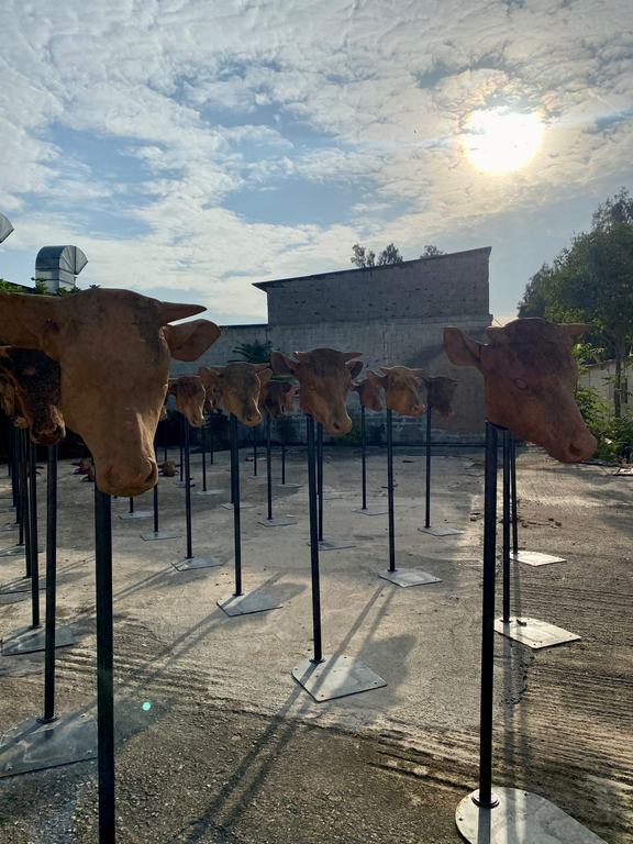 Outdoor installation, Elaionas, 2023